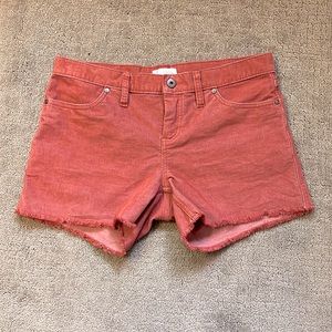 Carve Oahu shorts